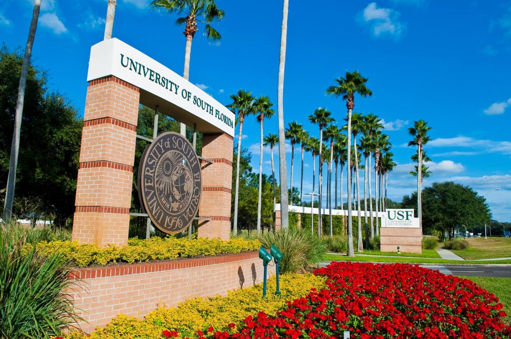 Scholarship in African Studies at University of South Florida